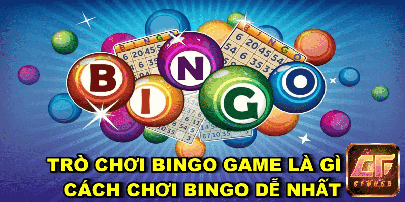 bingo game là gì