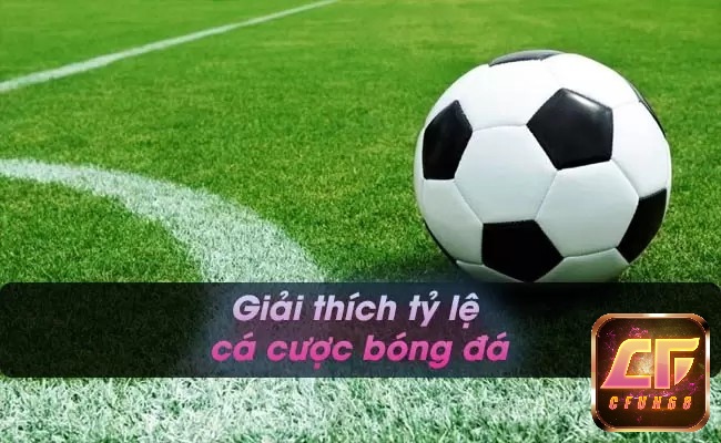 cách đọc kèo bóng đá