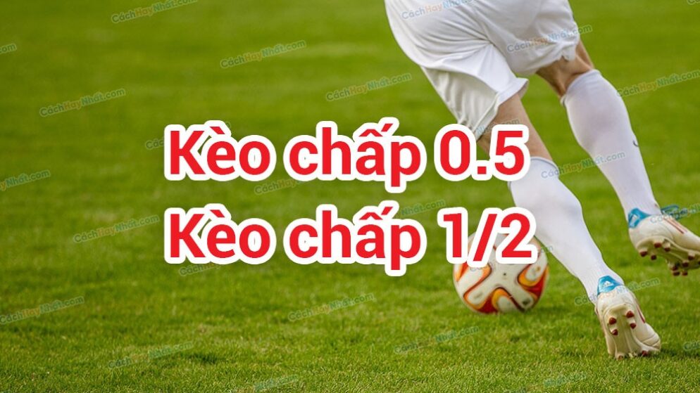 Kèo chấp 0.5 là gì