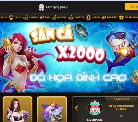 Vuabet68.com – Website cá cược trực tuyến chất lượng 2022