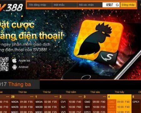 Da ga 68 – Website tin tức đá gà đáng tin cậy