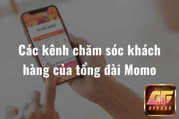 Các kênh tổng đài ví momo cung cấp cskh