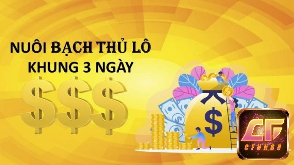 Lô bạch thủ khung 3 ngày - Những cách bắt lô dễ thắng nhất