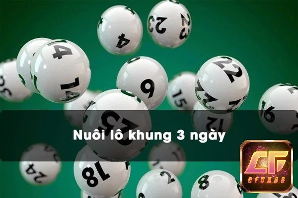 Nuôi lo khung 3 ngay như thế nào hiệu quả?