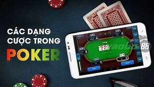 Các dạng cược trong Poker, tìm hiểu dạng, mẹo chơi hiệu quả