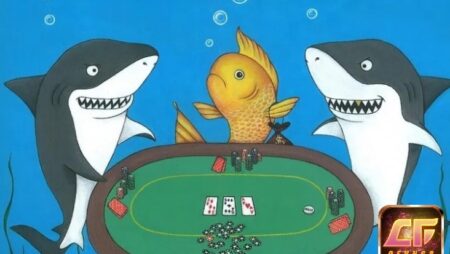 Fish trong Poker – 5 cách giúp game thủ nhận dạng fish