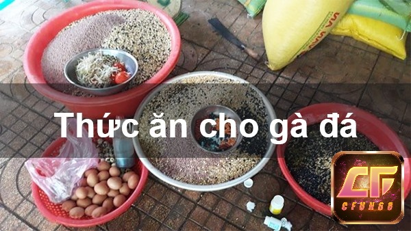 Các loại mồi cho gà đá chính là thóc lúa