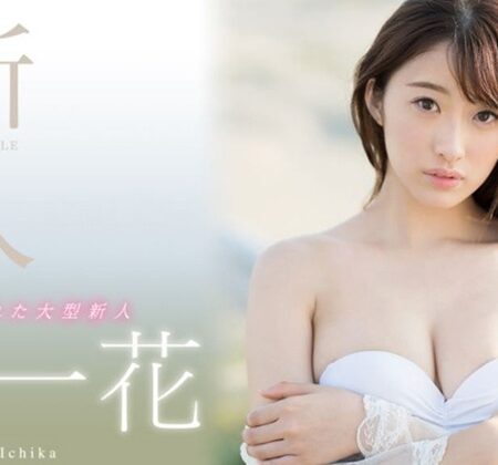 Ichika Hoshimiya – Nữ idol 18+ với đôi chân dài miên man